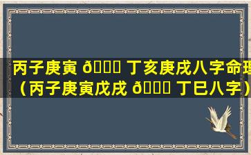 丙子庚寅 🐝 丁亥庚戌八字命理（丙子庚寅戊戌 🐛 丁巳八字）